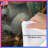 Cute Koala Pair Comforter-126737056