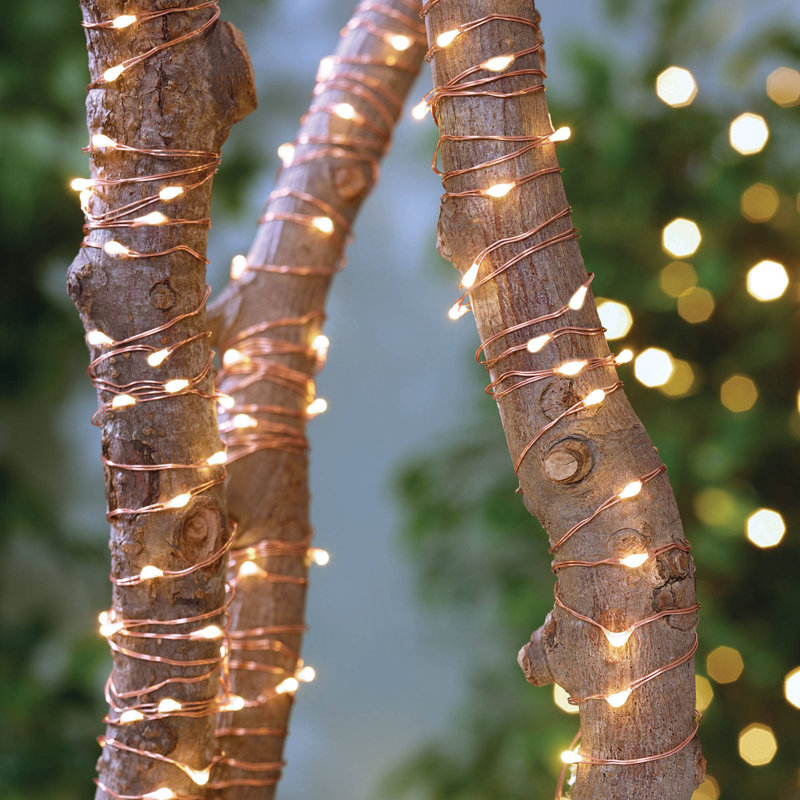 Coleridge 4cm LED 200 - Bulb Wide Angle LED String Light
