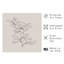 «Botanical Plant II», reproduction d'art moderne sans cadre beige-1267224954