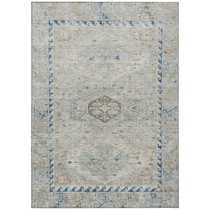 Machine Washable Indoor/Outdoor Earleville ACN2357 Traditional Rug, Rectangle 9' x 12'