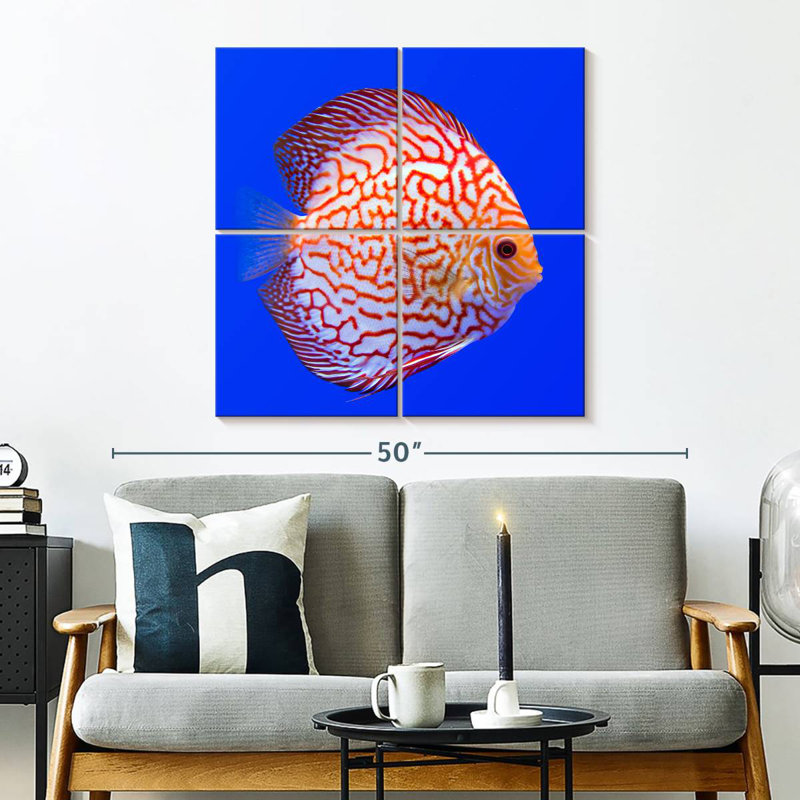 Brampt Exotic Discus Fish, 32" H x 32" W