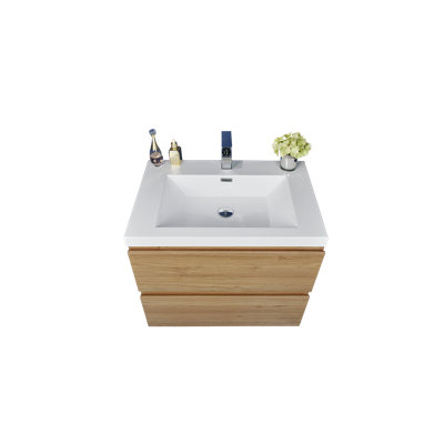 Hridhaan 23.5'' Single Bathroom Vanity with Plastic Top