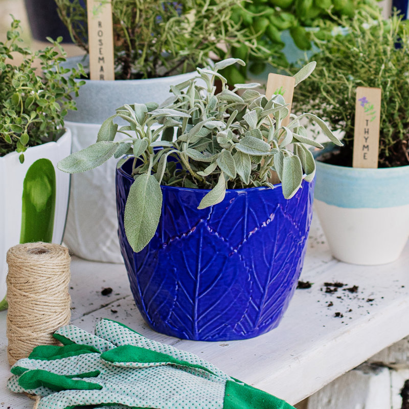 Viva Garden Handmade Planter, Cobalt