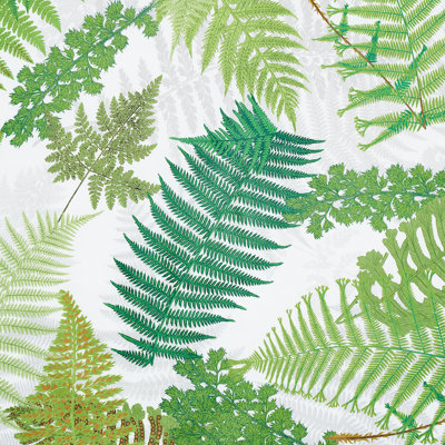 Schumacher x Clements Ribeiro Fernarium Fabric