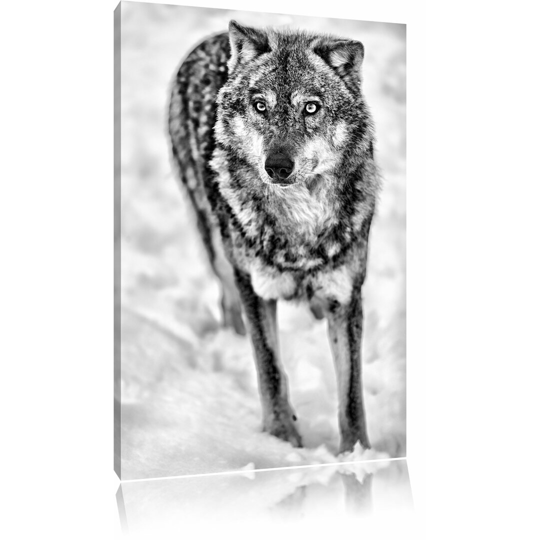 Leinwandbild Wolf in Schneelandschaft in Monochrom