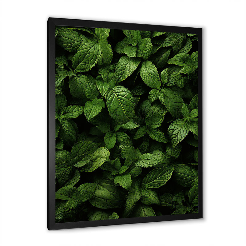 «Herbs Peppermint Breeze 2», art floral herbes murales, H 32 po x l 16 po x P 1 po, Cadre simple noir