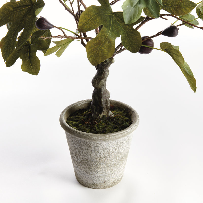 Figuier réaliste avec des figues en pot 34 po