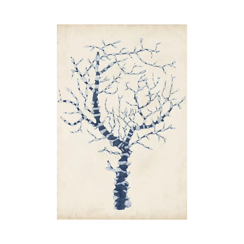 Indigo Coral II by Vision Studio - Wrapped Canvas Print, 20.32 cm H x 30.48 cm W