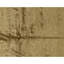 Hand Knotted Area Rug in Gold