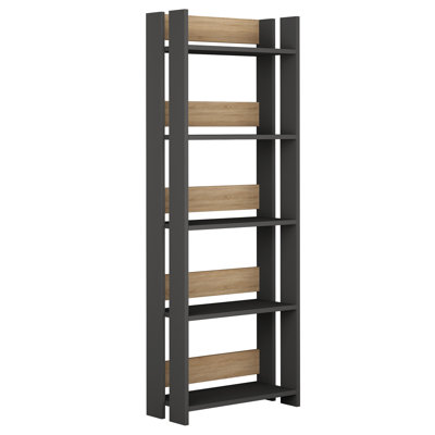 Chaney 155cm H x 57cm W Standard Bookcase