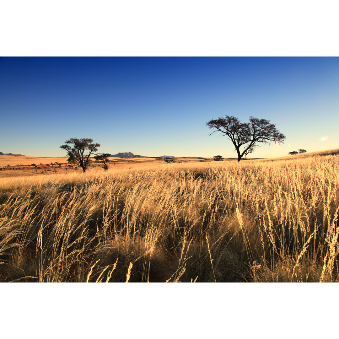 Graslandlandschaft von AfricaImages - Druck auf Leinwand ohne Rahmen