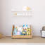 38cm H X 57cm W Kids Book Display