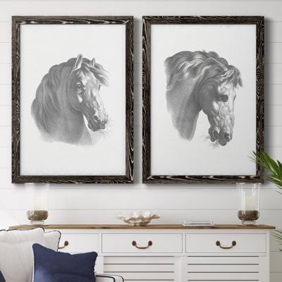 " Equestrian Blueprint II " 2 - Pieces Painting Print