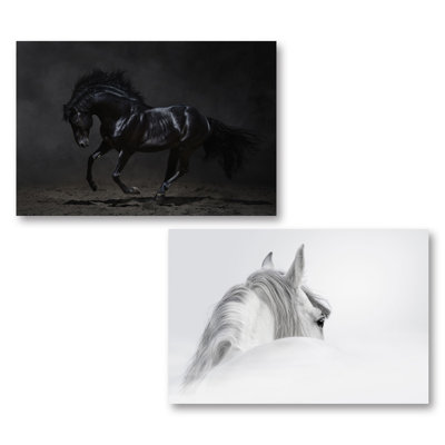« white cheval and onyx », ensemble de 2 reproductions d’art