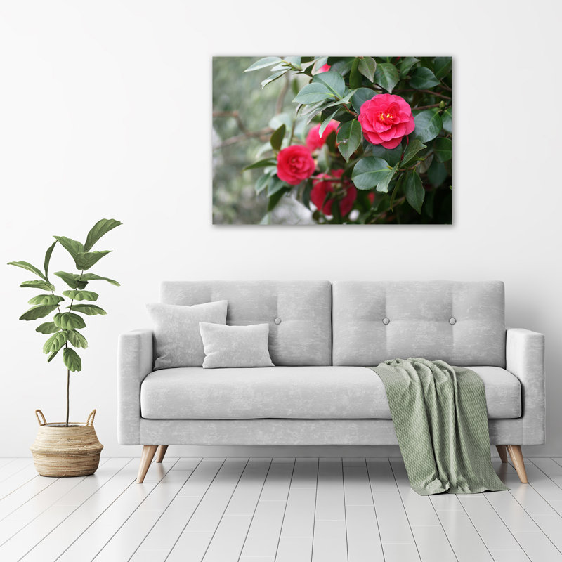 Camellia - No Frame Print on Glass