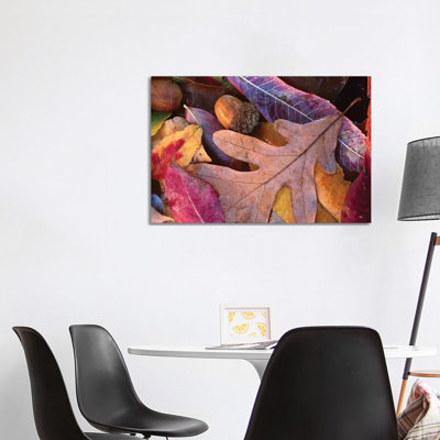 Fall-Colored Oak, Cherry And Sumac Leaves On Ground With Acorns by Tim Fitzharris - Wrapped Canvas Print