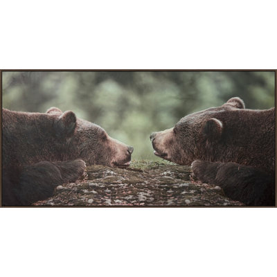 Grizzly Gaze Canvas Wall Art