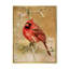 «Grunge Red Cardinal Bird», reproduction d'art sur toile encadrée-609345115-609345117