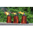 Citronella Oil Table Top Tiki Torches for Outdoor Patio-96269585