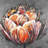 Double Orange Tulip | Red Framed Canvas | Home Decor Art