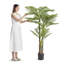 198.2cm Faux Palm Tree in Planter