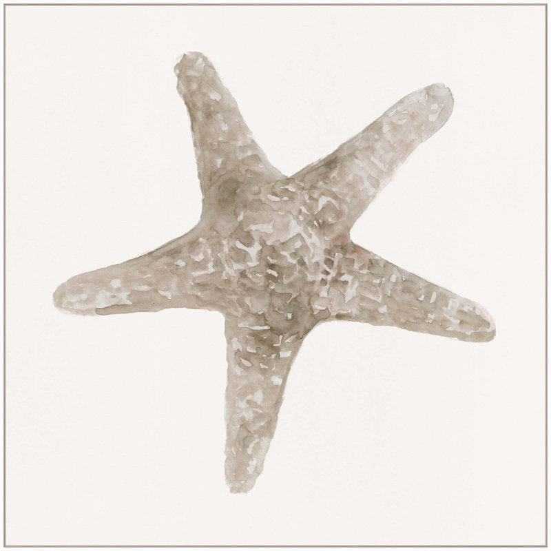 «Sea Shell 9» par Rita Taverni - impression sur toile tendue, H 51 po x l 51 po, Cadre flottant blanc