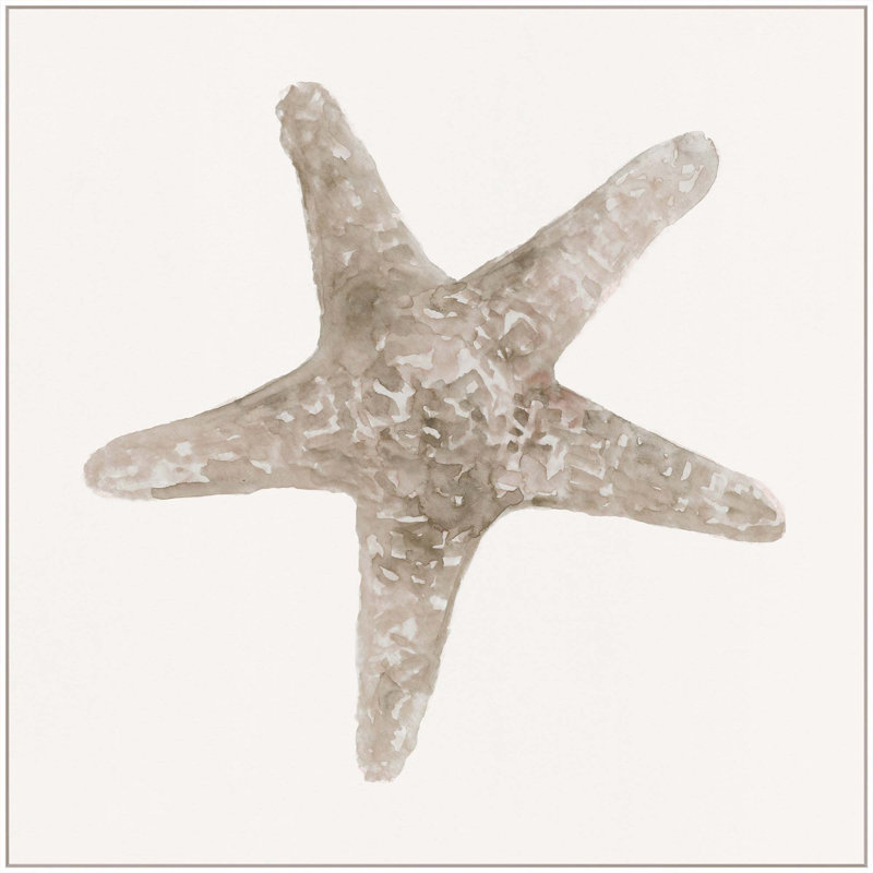 Sea Shell 9 Print, White Floater Framed, 41" H x 41" W