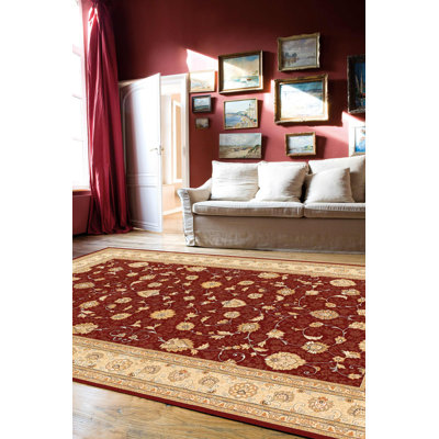 Braided Oriental Area Rug