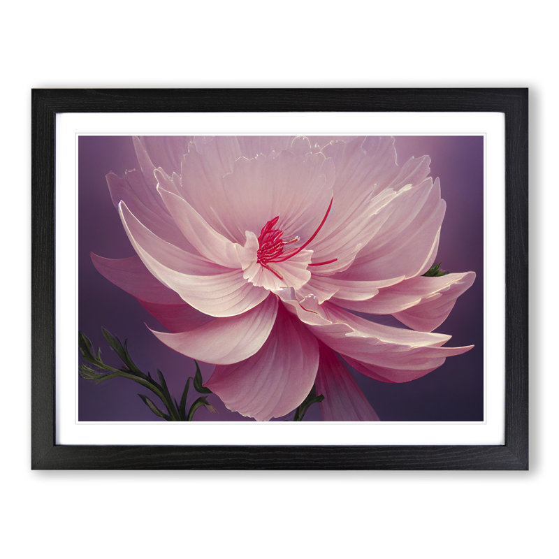 Creative Carnation Flower - Single Picture Frame Print, Black, 46cm H x 64cm W x 2cm D