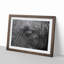 Elephant - Picture Frame Graphic Art Print-55725312-55725315