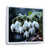 Cadre flottant blanc