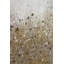 Art mural encadré CosmoLiving par Cosmopolitan