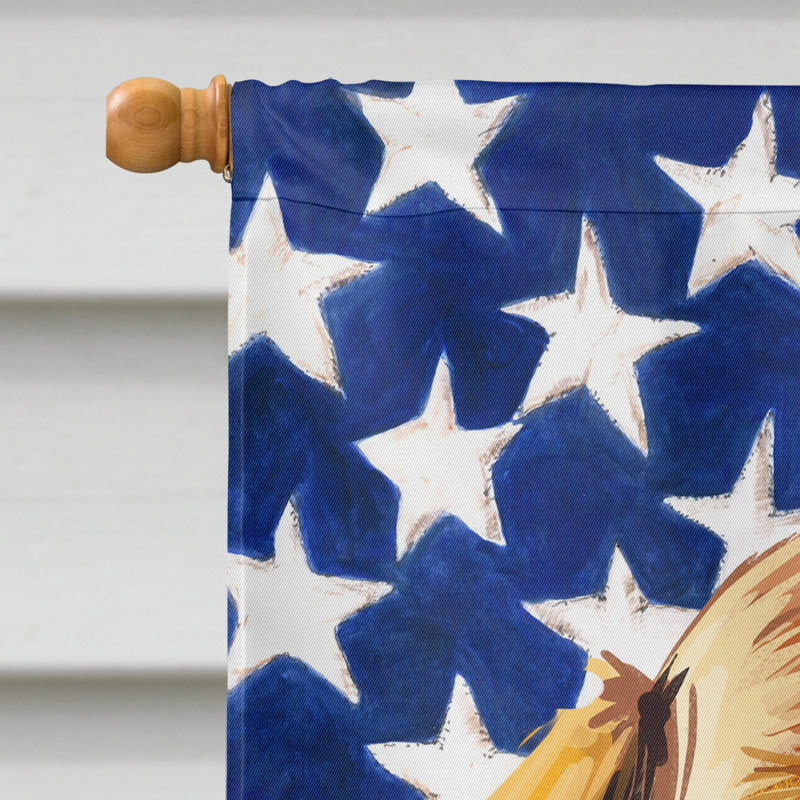 Polyester à 2 côtés 28 x 40 po drapeau maison, Redbone Coonhound