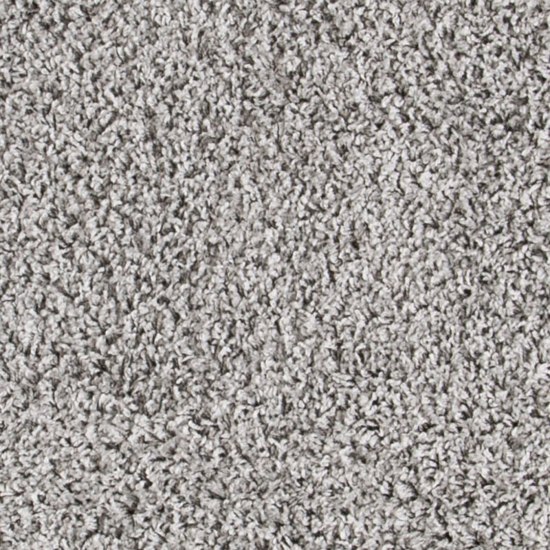 Schwanke Shag Performance Solid Color Rug, Rectangle 3' x 5'