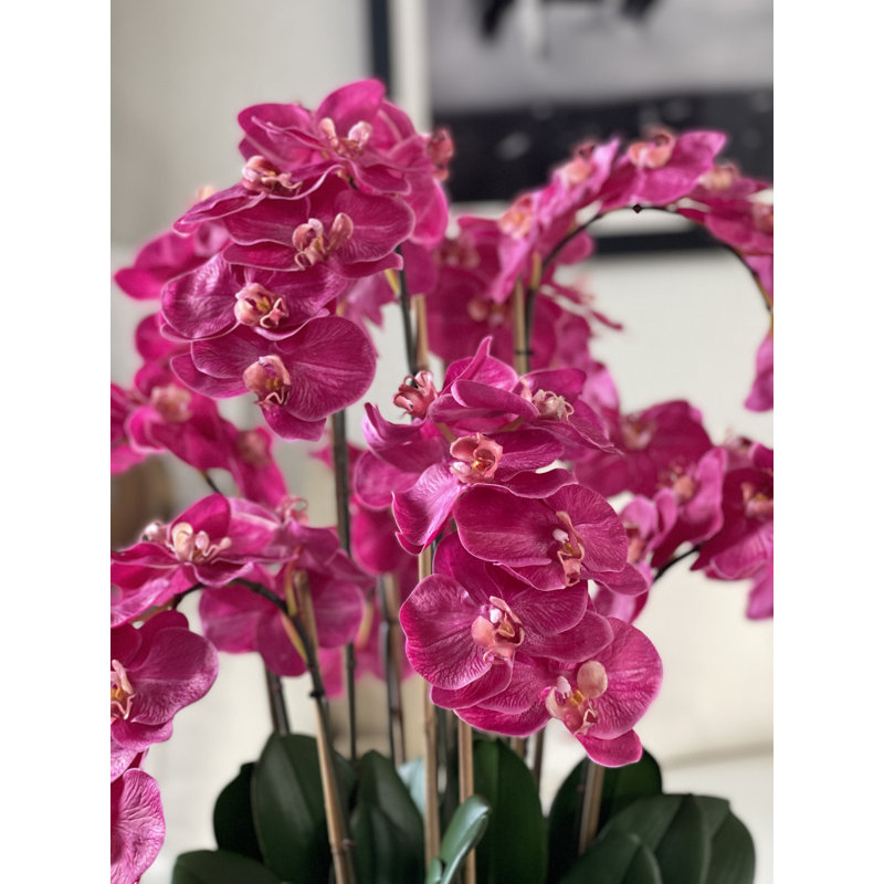 Pot à tiges d'orchidée Roberi, H 38 po x l 22 po x P 22 po, Rose