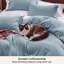 Housse de couette en microfibre Bed Bed - ensemble de literie extra doux en coton prélavé (ensemble de 3)-1558598730-1558598734