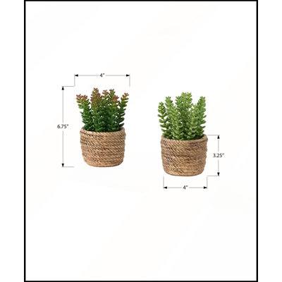 Ensemble de 2 plantes succulentes artificielles en pots de ciment brun, 18 cm de hauteur, parfaites pour une décoration de table moderne et une touche de verdure nécessitant peu d'entretien.