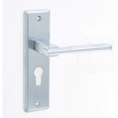 Delta Euro Door Handle