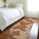 Premium Machine Washable Prisco Terracotta Rug
