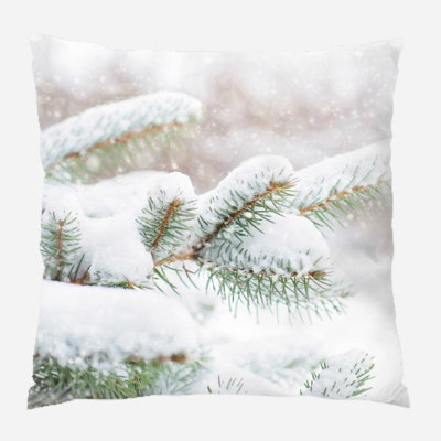 Canvas Outdoor Reversible Throw Pillow