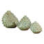 Sea Coral Vase in Cream/Blue-22273294