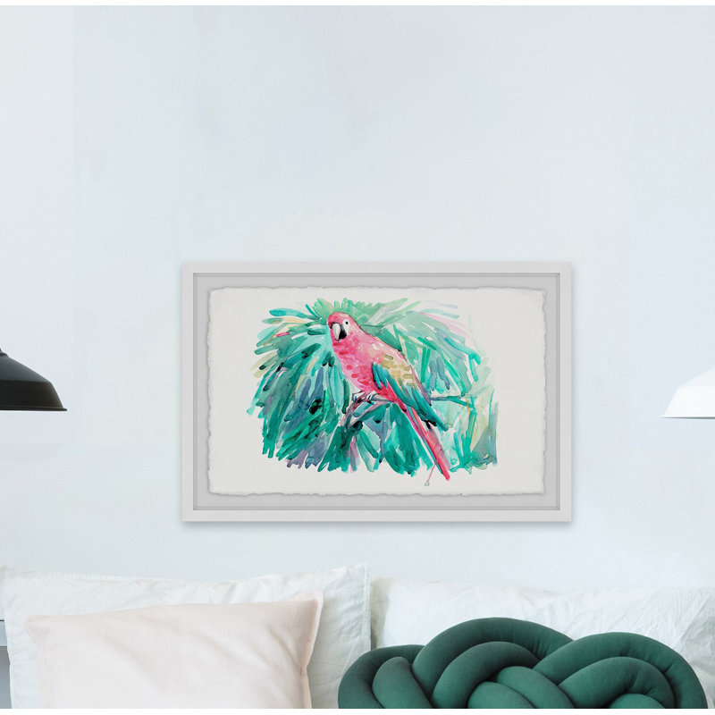 Pretty Parrot - Single Picture Frame Print, 30cm H x 45cm W
