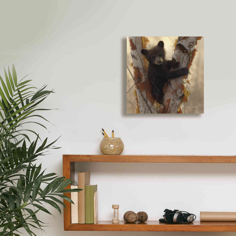 Art mural sur toile Millwood Pines «Curious Cub I» par Collin Bogle, H 12 po x l 12 po x P 0,75 po