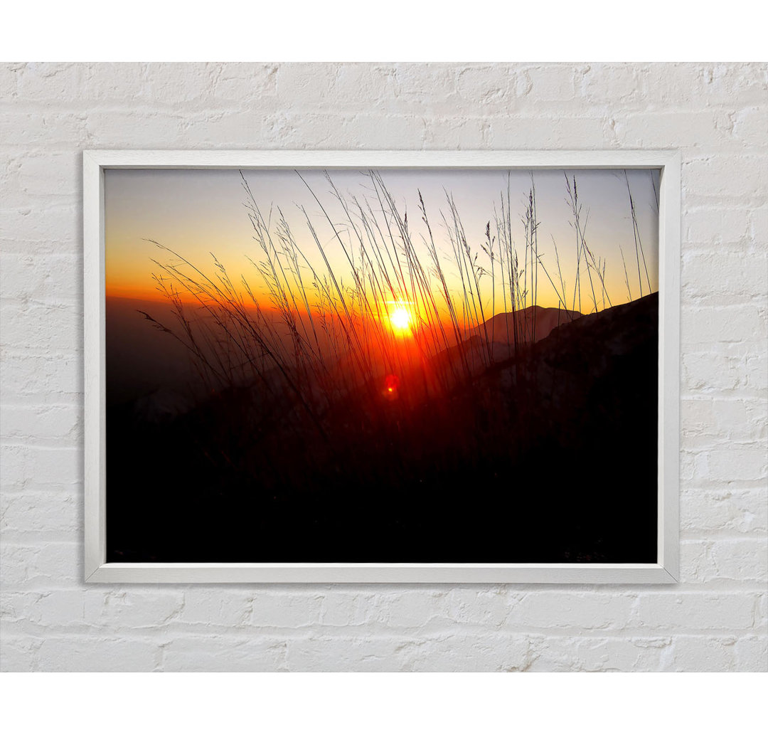 Dusk Through The Reeds - Einzelbildrahmen Kunstdrucke auf Leinwand