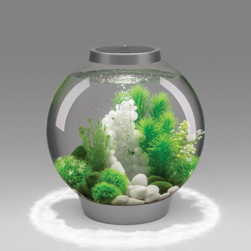 Silver 8-Gallon Acrylic Desktop Aquarium with LED Light