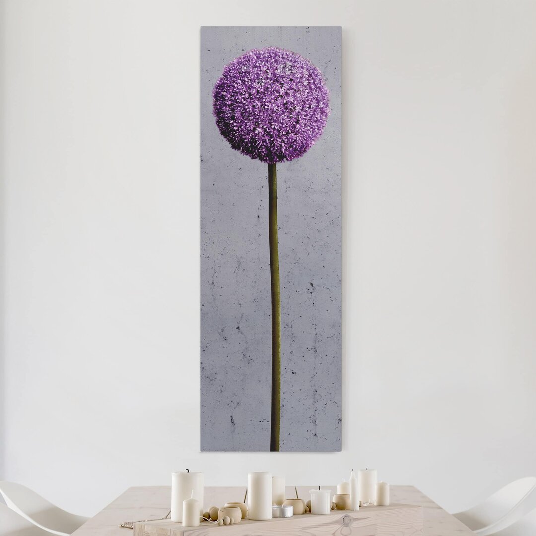 Leinwandbild Allium Kugel-Blüten