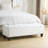 Drayton 51'' Wide Faux Leather Tufted Storage Ottoman-115202495