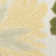 Nourison Aloha Ivory Green Modern Rug