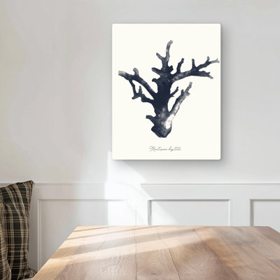 Montipora digitata - Illustrative Beach Metal Print | Home Decor