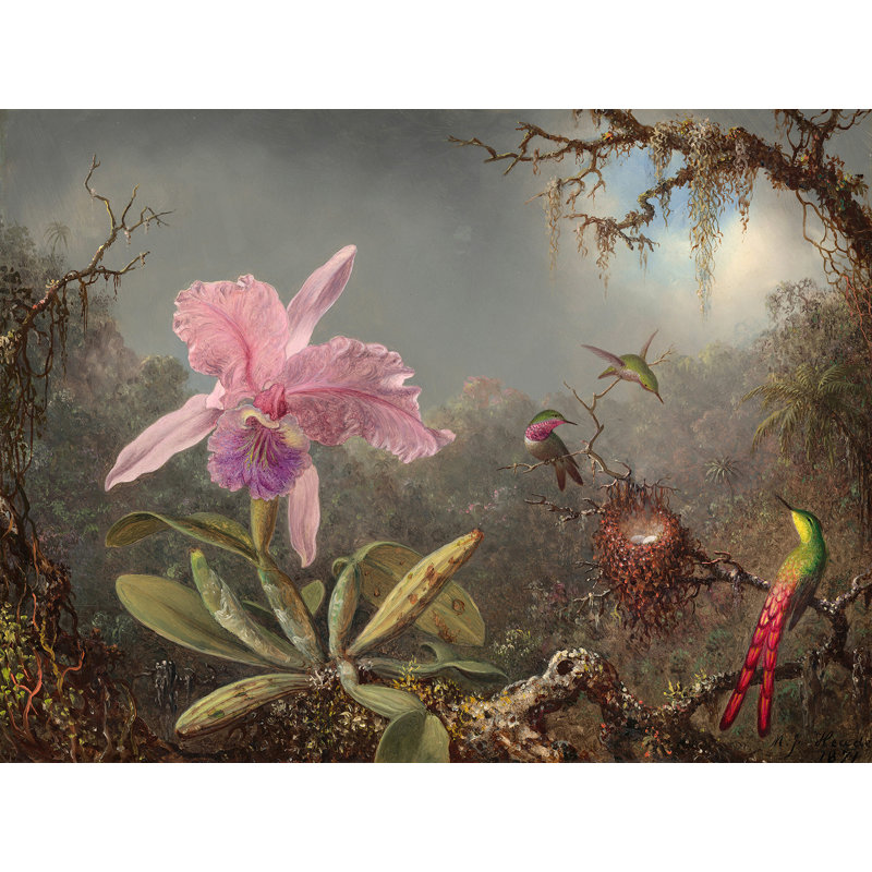 Cattleya Orchid And Three Hummingbirds by Martin Johnson Heade - No Frame Print on Canvas, 70cm H x 100cm W x 4cm D